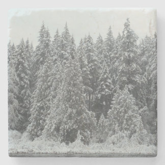 Winterbomen Stenen Onderzetter