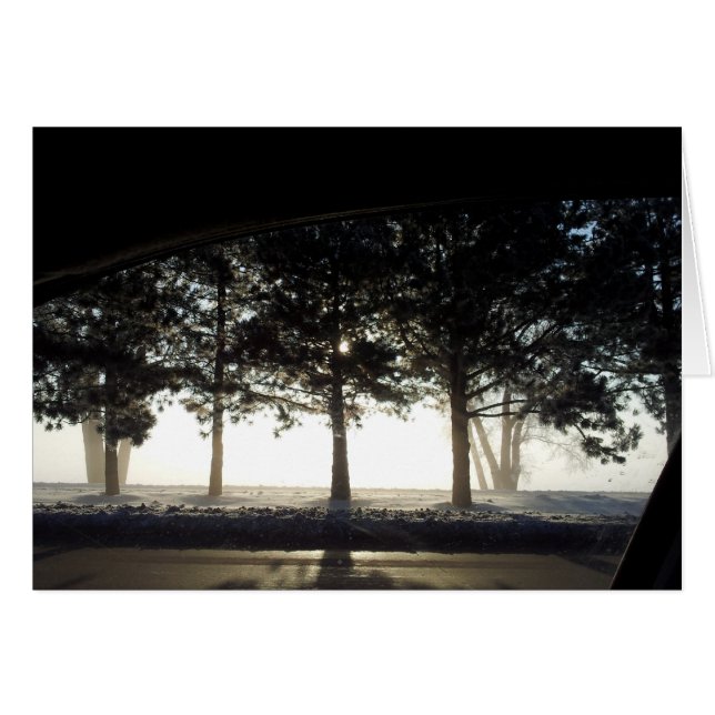 winterbomen van auto (Voorkant Horizontaal)