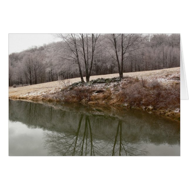 Winterbomen weerspiegeld (Voorkant Horizontaal)