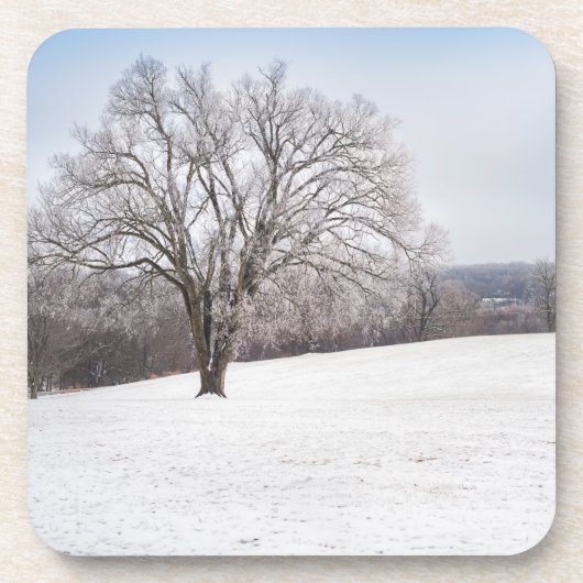 Winterboom Bier Onderzetter (Voorkant)