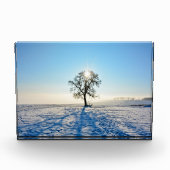 Winterboom bij zonsopgang - - fotoblokken (Voorkant)