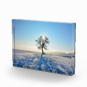 Winterboom bij zonsopgang - - fotoblokken (Rechts)