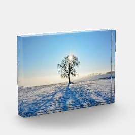 Winterboom bij zonsopgang    -     - fotoblokken