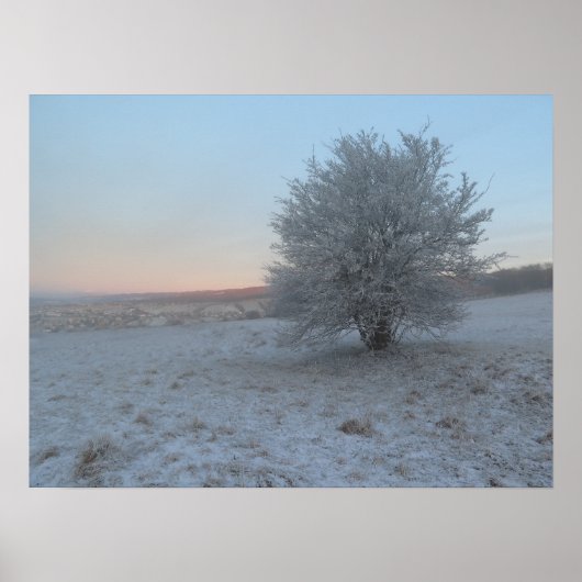 Winterboom bij zonsopgang poster (Voorkant)
