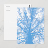 WINTERBOOM BRIEFKAART (Voorkant / Achterkant)