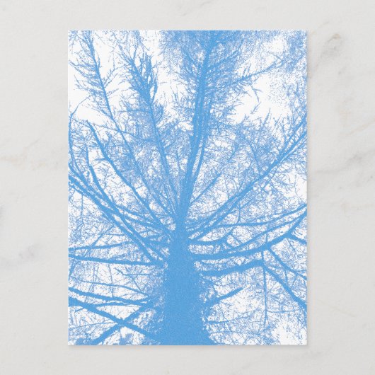 WINTERBOOM BRIEFKAART (Voorkant)