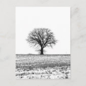 Winterboom Briefkaart (Voorkant)