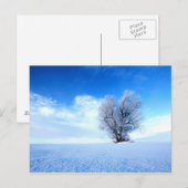 Winterboom Briefkaart (Voorkant / Achterkant)