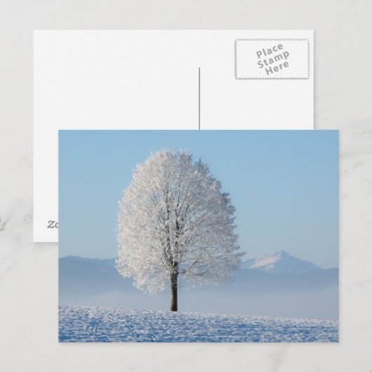 Winterboom Briefkaart (Voorkant / Achterkant)