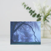 Winterboom en meer briefkaart (Staand voorkant)