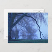 Winterboom en meer briefkaart (Voorkant / Achterkant)