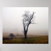 Winterboom in Foggy Meadow #2 Poster (Voorkant)
