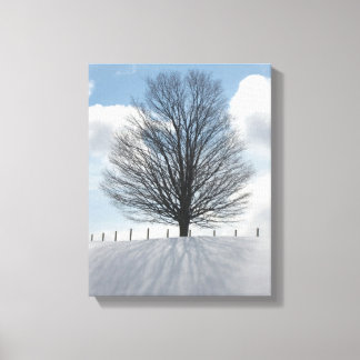Winterboom in Michigan Fotodoek Kunstdruk Canvas Afdruk