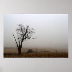 Winterboom nevelige weide poster