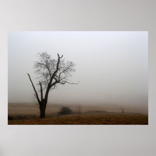Winterboom nevelige weide poster (Voorkant)