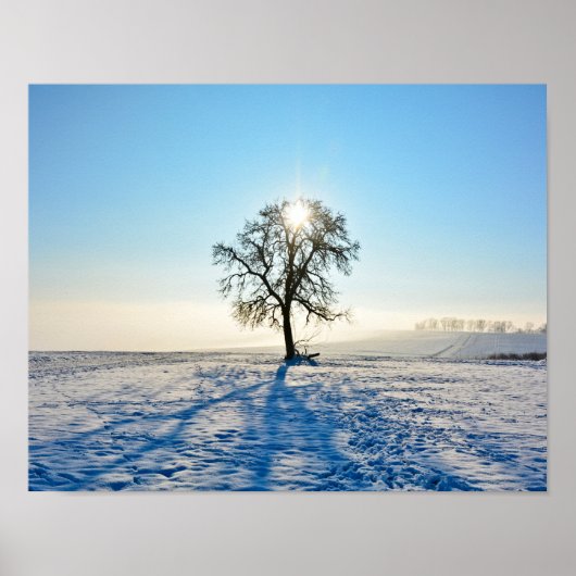 Winterboom - - poster (Voorkant)
