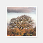 WINTERBOOM SERVET (Voorkant)
