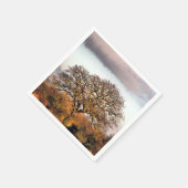 WINTERBOOM SERVET (Hoek)