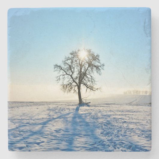 Winterboom   -     - stenen onderzetter (Voorkant)