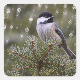 Winterboom van Chickadee Snow Vierkante Sticker