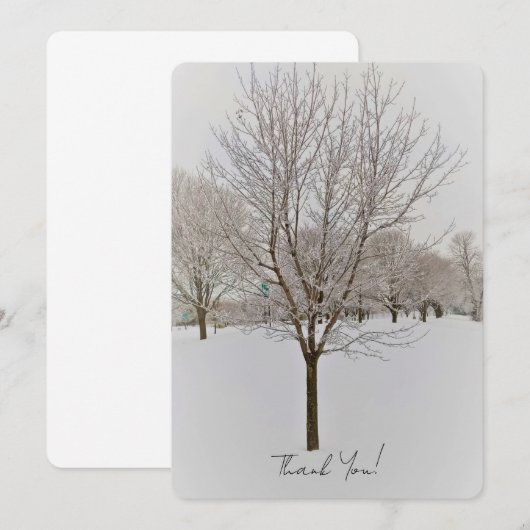 Winterboomfotografie (Voorkant / Achterkant)