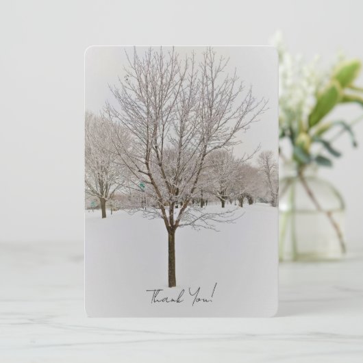 Winterboomfotografie (Staand voorkant)