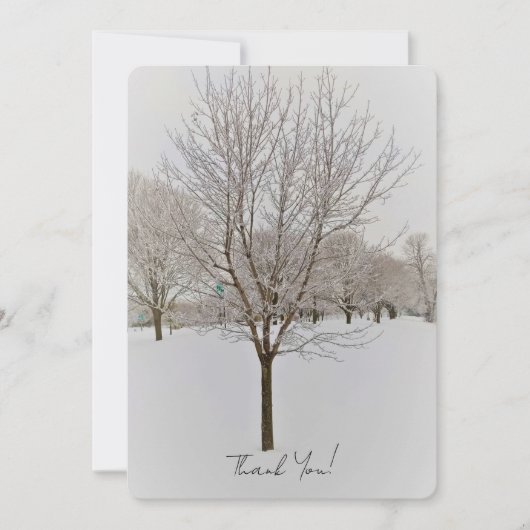 Winterboomfotografie (Voorkant)