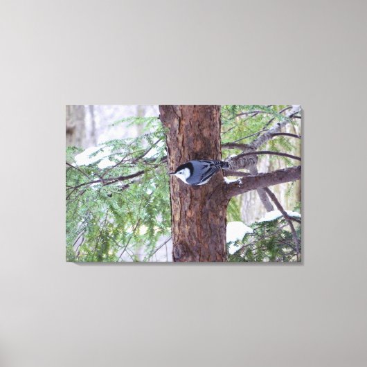 Winterboomklever op Canvasprint Canvas Afdruk (Voorkant)