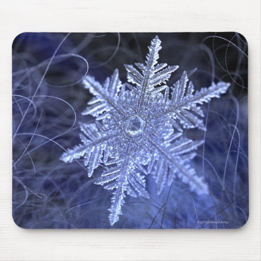 Winterborn (2015) muismat (Voorkant)