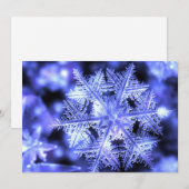 Winterborn Platte Kerst Kaart (Voorkant / Achterkant)