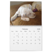Winterborn Spinone ~ Revised ~ Puppy Calendar Med. Kalender (Feb 2026)