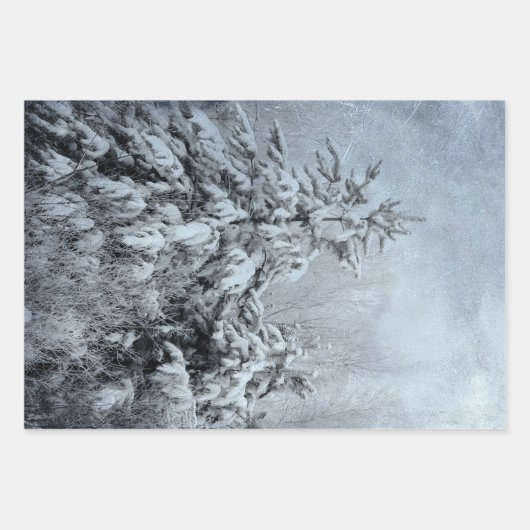 Winterbos  bossen sneeuw bedekte bomen inpakpapier vel (Voorkant 2)