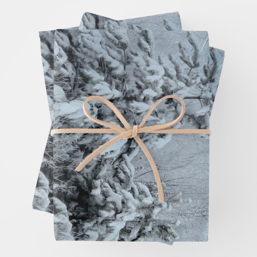 Winterbos  bossen sneeuw bedekte bomen inpakpapier vel (In situ)