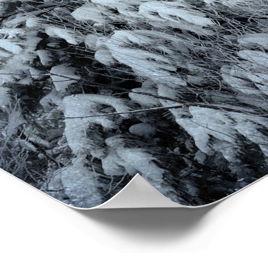 Winterbos  bossen sneeuw bedekte bomen poster (Hoek)