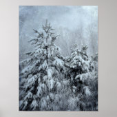 Winterbos  bossen sneeuw bedekte bomen poster (Voorkant)