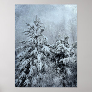 Winterbos  bossen sneeuw bedekte bomen poster