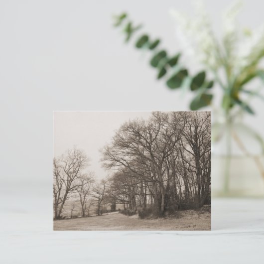 Winterbos Briefkaart (Staand voorkant)