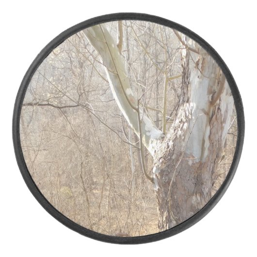 winterbos hockey puck (Voorkant)