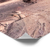 Winterbos Huizen, Vrede op Aarde Poster (Hoek)