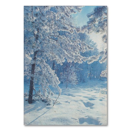 Winterbos in de Sovjet-Unie Kaart (Voorkant)