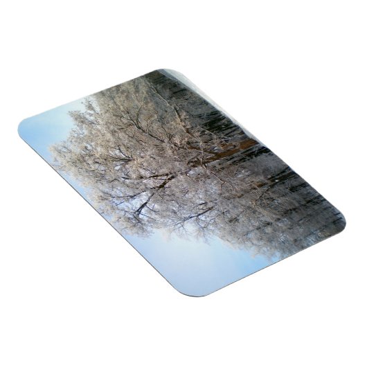 Winterbos in december 2012 magneet (Rechterzijde)