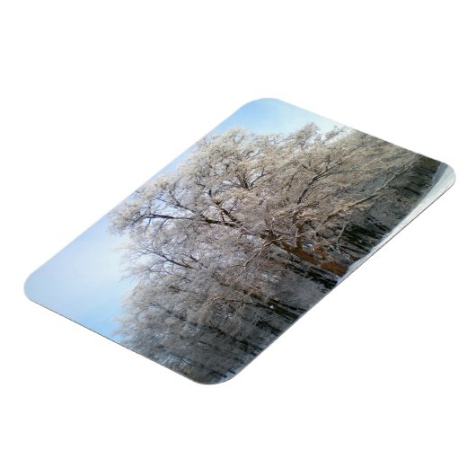 Winterbos in december 2012 magneet (Linkerzijde)