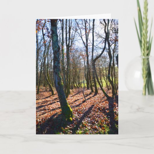 Winterbos in Frankrijk Feestdagen Kaart (Voorkant)