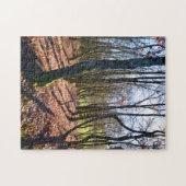 Winterbos in Frankrijk Legpuzzel (Horizontaal)