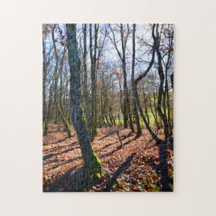Winterbos in Frankrijk Legpuzzel