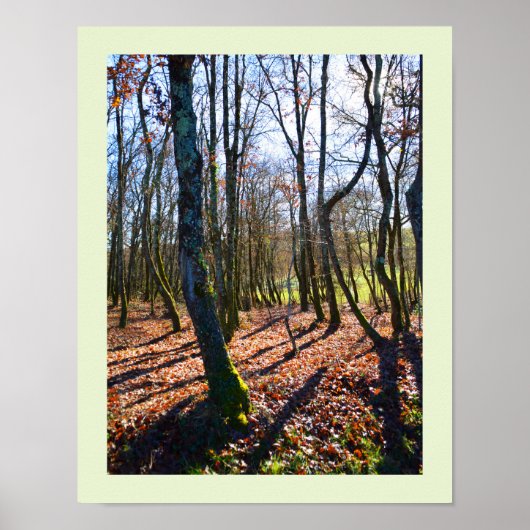Winterbos in Frankrijk Poster (Voorkant)