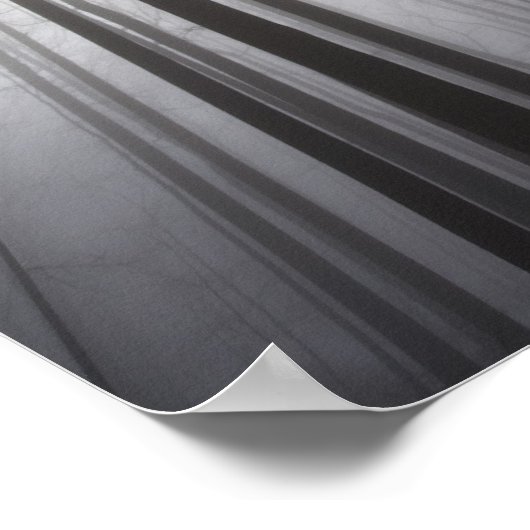 Winterbos in mist, New Jersey Poster (Hoek)