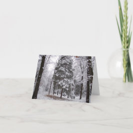 Winterbos Lege Wenskaart Kaart