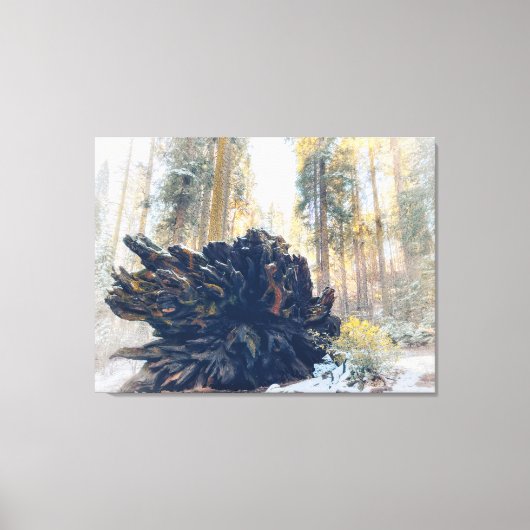 Winterbos met omgevallen sequoia-wortel canvas afdruk (Voorkant)