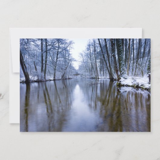 Winterbos met prachtige stream (Voorkant)